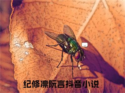 老书虫良心推荐最新小说（纪修凛阮言）主角纪修凛阮言全文全章节免费阅读