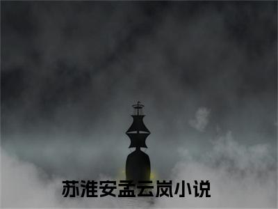 苏淮安孟云岚（苏淮安孟云岚）全文免费阅读无弹窗大结局_苏淮安孟云岚:苏淮安孟云岚最新章节列表_笔趣阁（苏淮安孟云岚）