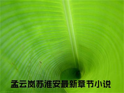 孟云岚苏淮安（孟云岚苏淮安）小说推荐精彩章节全文阅读-热门小说孟云岚苏淮安精选章节阅读