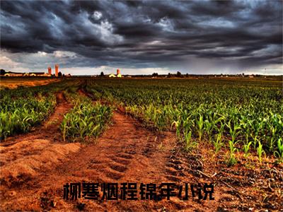 柳寒烟程锦年（柳寒烟程锦年免费阅读无弹窗）柳寒烟程锦年最新章节列表_笔趣阁