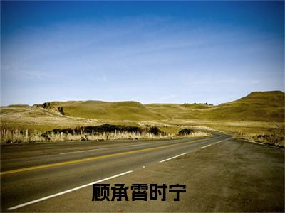 顾承霄时宁（顾承霄时宁）全文免费阅读无弹窗_顾承霄时宁最新小说_笔趣阁