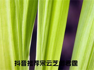 宋云芝御君霆小说在哪里可以看 宋云芝御君霆免费在线阅读