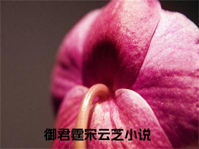 高赞小说（御君霆宋云芝小说免费阅读）完结阅读_御君霆宋云芝全文免费阅读最新章节大结局