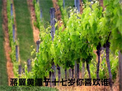 蒋翼黄瀛子小说免费阅读无弹窗-蒋翼黄瀛子（十七岁你喜欢谁）小说免费阅读无弹窗大结局