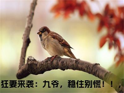 小说傅聿城陆巡（狂妻来袭：九爷，稳住别慌！！，全文免费阅读）完结阅读_狂妻来袭：九爷，稳住别慌！！，全文免费阅读免费看全文