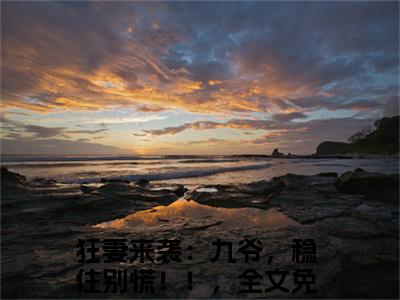 狂妻来袭：九爷，稳住别慌！！，全文免费阅读_傅聿城陆巡（狂妻来袭：九爷，稳住别慌！！，）小说在线阅读最新章节列表笔趣阁