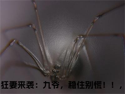 狂妻来袭：九爷，稳住别慌！！，小说（傅聿城陆巡小说）全文免费阅读无弹窗大结局_(狂妻来袭：九爷，稳住别慌！！，小说免费阅读)傅聿城陆巡小说无弹窗最新章节列表_笔趣阁（狂妻来袭：九爷，稳住别慌！！，小说）