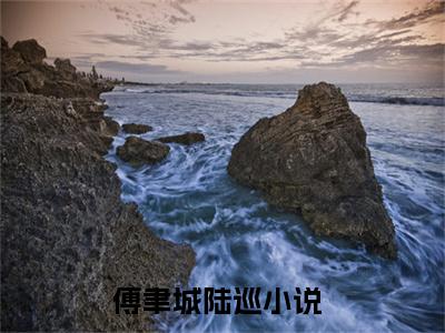 傅聿城陆巡（狂妻来袭：九爷，稳住别慌！！，）全文在线阅读无弹窗大结局_(狂妻来袭：九爷，稳住别慌！！，免费阅读全文大结局)最新章节列表_笔趣阁（傅聿城陆巡）