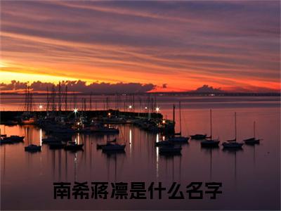 南希蒋凛（南希蒋凛）全文免费阅读-南希蒋凛最新章节列表_笔趣阁