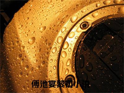 傅池宴黎初（傅池宴黎初）小说全文无删减-傅池宴黎初小说免费阅读大结局