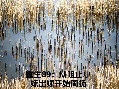 重生89：从阻止小妹出嫁开始(周扬)小说全文免费阅读无弹窗大结局_（周扬）重生89：从阻止小妹出嫁开始最新章节列表（周扬）