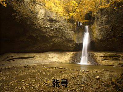 我有一座关帝庙的小说全文免费阅读无弹窗,张寻的小说在线免费阅读大结局（张寻）