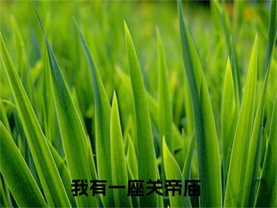 我有一座关帝庙小说全文无删减-我有一座关帝庙小说大结局免费阅读