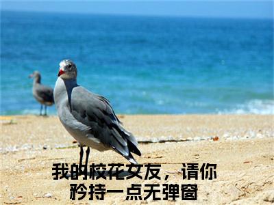 林立全文免费(我的校花女友，请你矜持一点)全集小说完整版大结局-林立全文阅读无弹窗