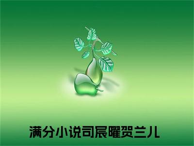 司宸曜贺兰儿(司宸曜贺兰儿)全文免费阅读无弹窗大结局_（司宸曜贺兰儿）的小说最新章节列表