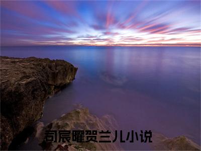司宸曜贺兰儿小说 司宸曜贺兰儿免费章节阅读