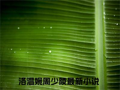 （洛温婉周少陵小说）全文免费阅读无弹窗大结局_（洛温婉周少陵阅读无弹窗）洛温婉周少陵小说章节列表