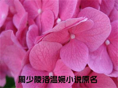 周少陵洛温婉小说全文免费阅读无弹窗-周少陵洛温婉小说在线免费阅读大结局