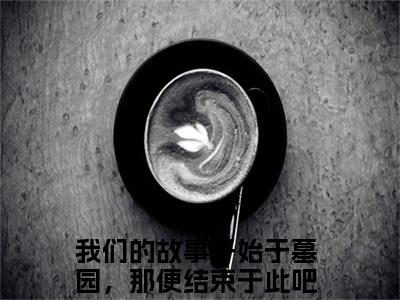 热文我们的故事开始于墓园，那便结束于此吧小说全文阅读_徐悦微周承斯（我们的故事开始于墓园，那便结束于此吧）全文免费阅读最新章节列表