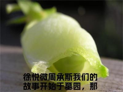 （徐悦微周承斯）小说全文免费阅读无弹窗大结局_我们的故事开始于墓园，那便结束于此吧徐悦微周承斯最新章节列表笔趣阁