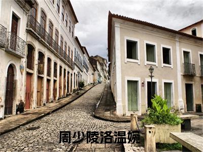 周少陵洛温婉全文免费阅读无弹窗大结局_周少陵洛温婉小说免费阅读