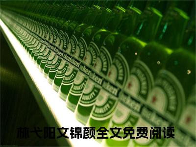 林弋阳文锦颜(林弋阳文锦颜)小说免费阅读-林弋阳文锦颜（林弋阳文锦颜）全文阅读-笔趣阁（林弋阳文锦颜）