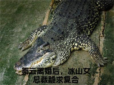 离婚后，冰山女总裁跪求复合（秦云）小说全文在线阅读_离婚后，冰山女总裁跪求复合最新章节在线阅读_笔趣阁