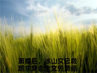 秦云热门小说离婚后，冰山女总裁跪求复合最新章节免费阅读-完结版全文离婚后，冰山女总裁跪求复合小说在线阅读