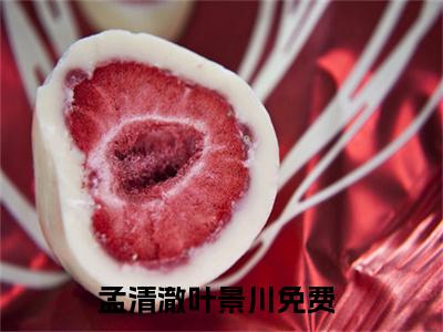 孟清澈叶景川（孟清澈叶景川）全文免费阅读无弹窗_孟清澈叶景川最新小说_笔趣阁（孟清澈叶景川）