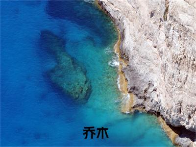 乔木全文免费阅读无弹窗大结局_我带着九张婚书下山报仇最新章节列表笔趣阁