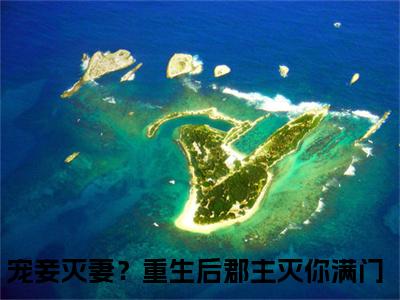 宠妾灭妻？重生后郡主灭你满门（沈嘉懿）全文免费阅读宠妾灭妻？重生后郡主灭你满门最新章节小说免费阅读_笔趣阁