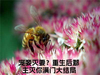 宠妾灭妻？重生后郡主灭你满门小说全文免费阅读无弹窗,（沈嘉懿）小说全文免费阅读
