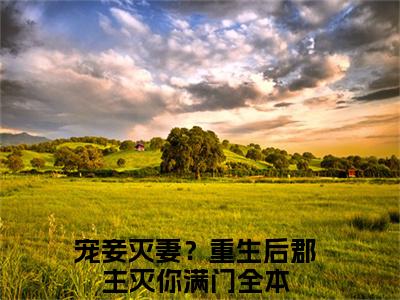 沈嘉懿小说全文免费阅读宠妾灭妻？重生后郡主灭你满门免费完整版阅读