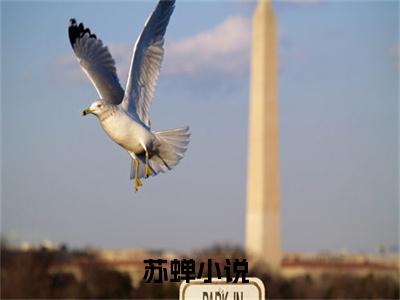 苏蝉在线阅读（重生后，大师姐她凭亿近人小说）全文免费阅读无弹窗大结局_苏蝉免费最新章节列表_笔趣阁（重生后，大师姐她凭亿近人小说）