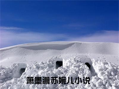箫墨渊苏婉儿小说（箫墨渊苏婉儿）免费阅读全文无弹窗大结局_箫墨渊苏婉儿免费阅读无弹窗小说_小说笔趣阁