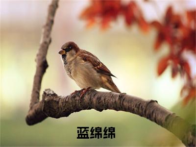 星际穿越：种田美食两手抓（蓝绵绵）全文免费阅读无弹窗大结局_蓝绵绵全文免费阅读_笔趣阁