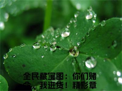 兮冥小说全民藏宝图：你们赌命，我进货！最新更新—全民藏宝图：你们赌命，我进货！小说美文赏析