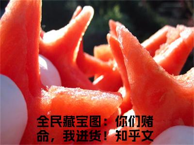 全民藏宝图：你们赌命，我进货！（兮冥）全文免费阅读无弹窗大结局_兮冥最新章节列表_笔趣阁（全民藏宝图：你们赌命，我进货！）