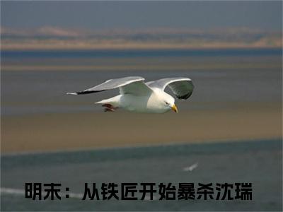 沈瑞（明末：从铁匠开始暴杀）全文免费阅读无弹窗大结局_（沈瑞）明末：从铁匠开始暴杀章节列表