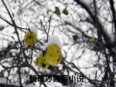 主角为魏瑾亦魏若的小说全文完整版阅读
