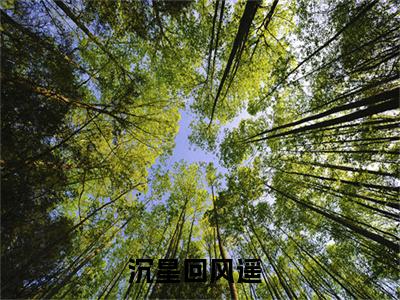 （沉星回风遥）沉星回风遥小说全文免费沉星回风遥读最新章节列表笔趣阁（沉星回风遥