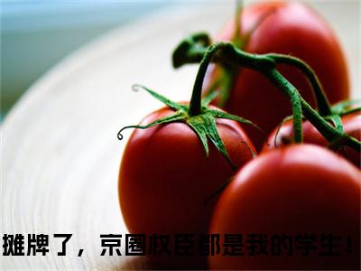 安歆小说全文免费阅读摊牌了，京圈权臣都是我的学生！免费完整版阅读