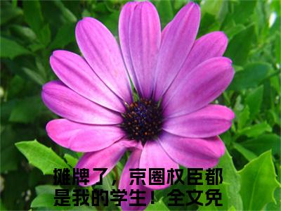 摊牌了，京圈权臣都是我的学生！安歆正版小说最新章节在线阅读-2023最火热点小说摊牌了，京圈权臣都是我的学生！最新更新