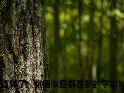 安歆（摊牌了，京圈权臣都是我的学生！）全文免费阅读无弹窗大结局_安歆全文在线阅读无弹窗