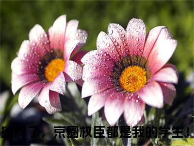 安歆(摊牌了，京圈权臣都是我的学生！)全文免费读无弹窗大结局_安歆免费阅读全文大结局最新章节列表_笔趣阁