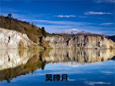 小说莫樽月全文阅读无弹窗大结局_（成为星际首富从修仙开始）莫樽月最新章节列表_笔趣阁