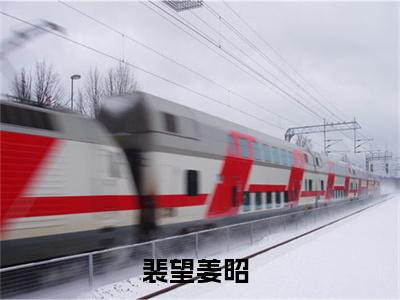 裴望姜昭（裴望姜昭)小说免费阅读在线阅读_裴望姜昭全文免费阅读_笔趣阁