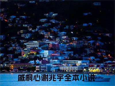 戚桐心谢兆宇在线阅读（戚桐心谢兆宇）全文免费阅读无弹窗大结局_戚桐心谢兆宇精选免费小说