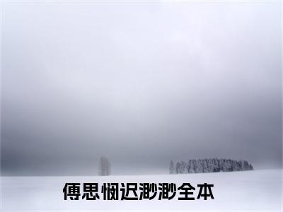 傅思悯迟渺渺小说（傅思悯迟渺渺）全文免费阅读_（傅思悯迟渺渺）小说最新章节列表_笔趣阁（傅思悯迟渺渺）