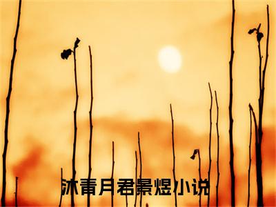 沐青月君景煜（沐青月君景煜）全文小说完整版-（沐青月君景煜）沐青月君景煜全文无删减免费阅读